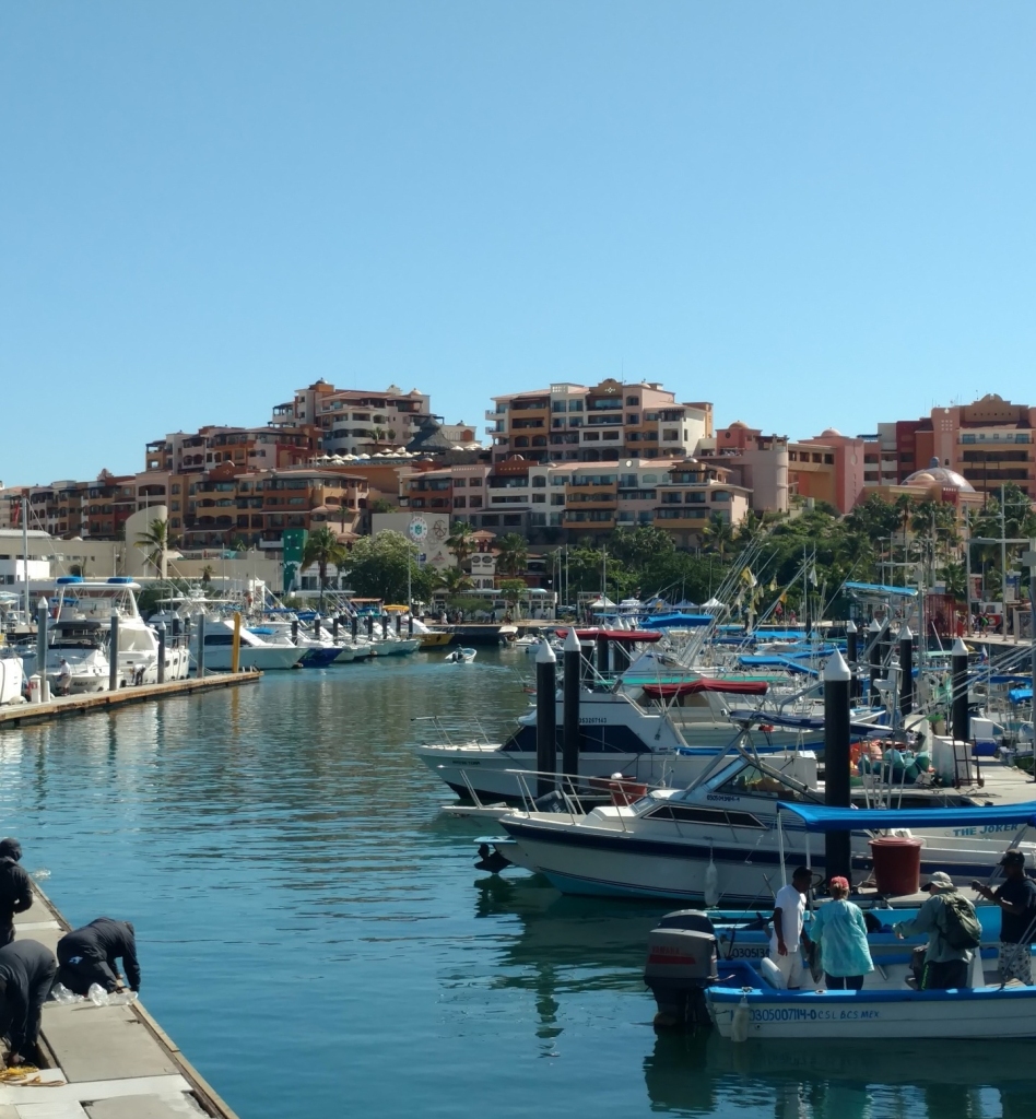 Cabo San Lucas 6 Amazingly Relaxing Days Solo