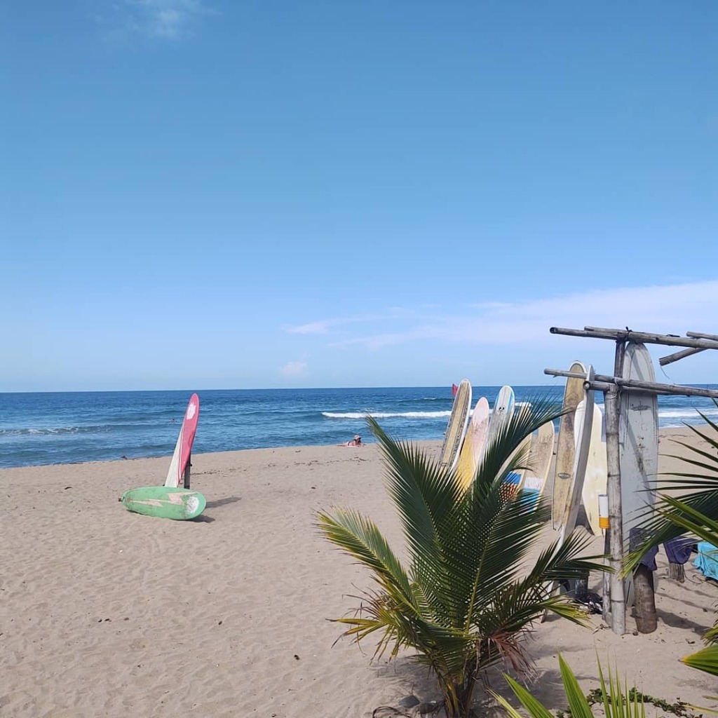 Costa Rica Part 2 — Puerto Viejo The Relaxed Caribbean Coast (Days 8–13)